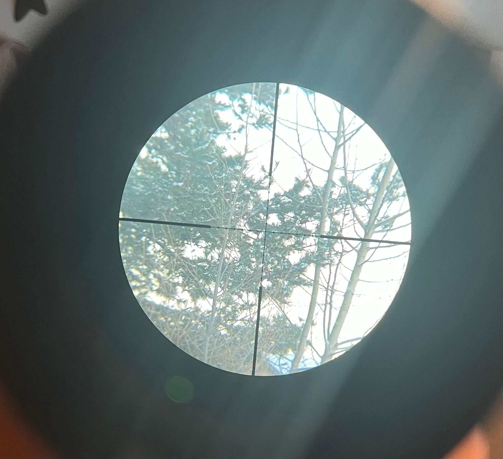 Photo of 3-12x40 rifle scope