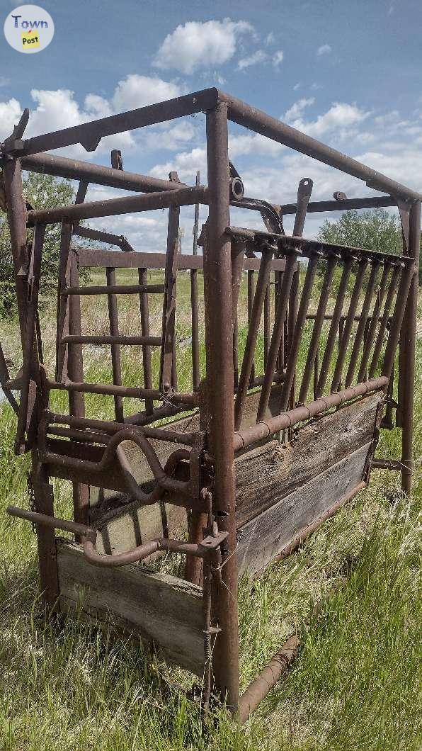 Photo of Cattle squeeze chute. 