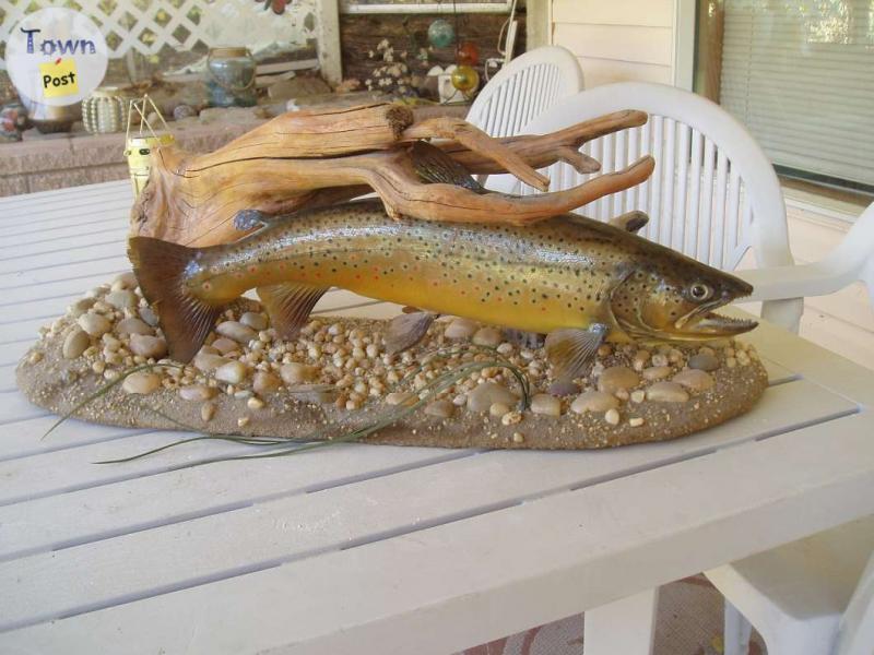 Photo of brown trout fish mount