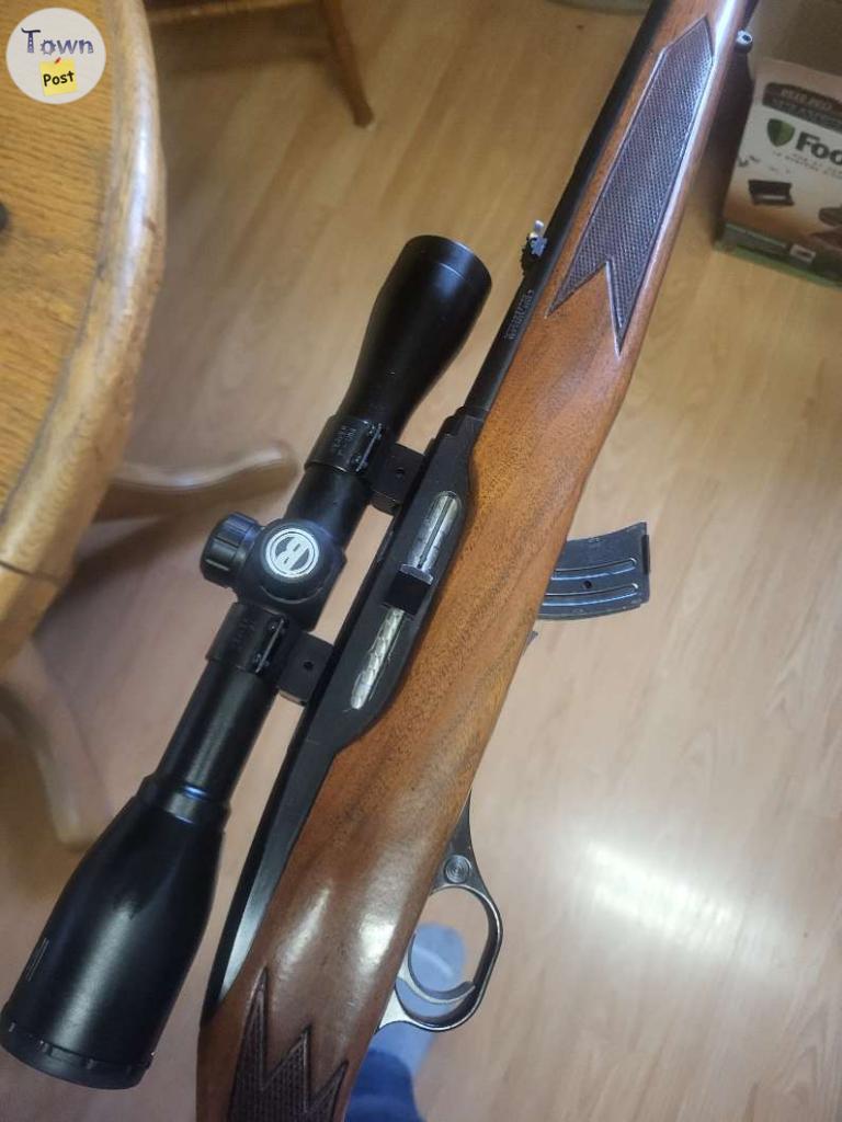 Photo of Winchester 490 semi-auto 22